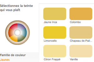 visualiser couleurs peinture pour projet decoration dinterieur 300x198 Comment tester les couleurs de peinture facilement